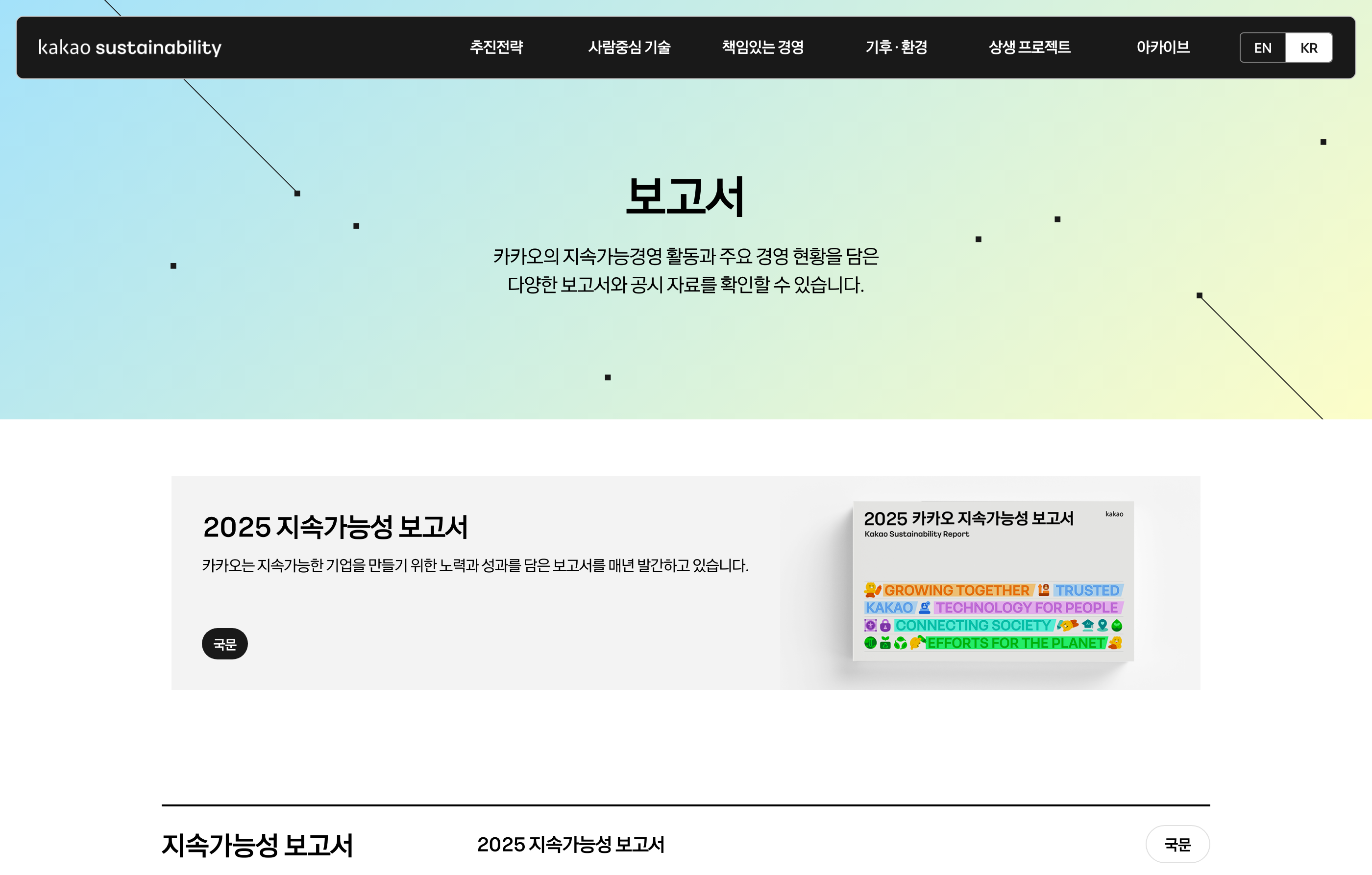카카오 지속가능성